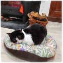 Chat cosy - mini serres