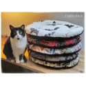 Chat cosy - mini serres