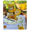 La confiture de pissenlits