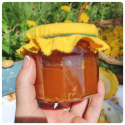 La confiture de pissenlits
