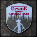 Patch Upside Down - National Park