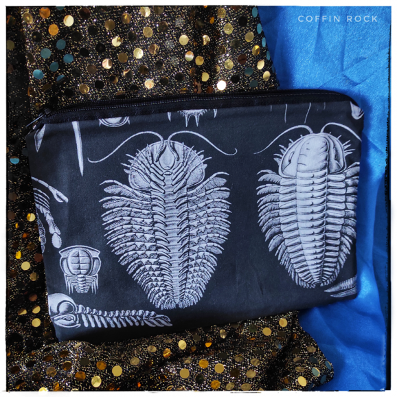 Mollusk Ernst Haeckel - pouch