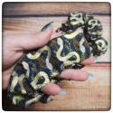serpents marron glacé - Chouchou
