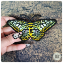 Eastern Tiger Swallowtail brooch