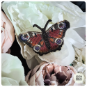 Broche Paon-du-jour