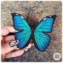 Eastern Tiger Swallowtail brooch
