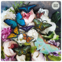 Eastern Tiger Swallowtail brooch