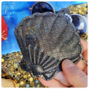 coquillage à écailles