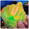 coquillage irisé jaune-vert