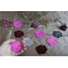 Rose sauvage - broches, couleurs au choix