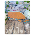 Moriarty - Trousse le chant des baleines