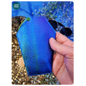 cercueil bleu vert porte-monnaie de poche