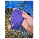 witches broom - pouch
