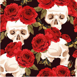 Skull'n'roses - Bouclier moelleux absorbant