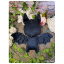 Darkness - bat plushy