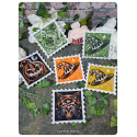 Sous-tasse halloween