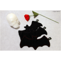 Chauve-souris - lingettes démaquillantes lavables