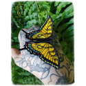 Broche Machaon Tigré De L'Est