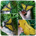 Broche Machaon Tigré De L'Est