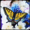 Eastern Tiger Swallowtail brooch