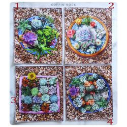 succulent panel cotton handkerchief